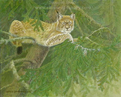 Eurasian lynx:  lynx lynx, Wildlife art by Akvile Lawrence