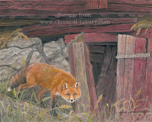 Red fox: vulpes vulpes, Wildlife art by Akvile Lawrence