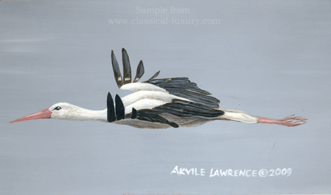 White Stork: Ciconia ciconia , Wildlife art by Akvile Lawrence