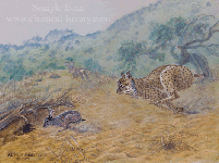 Narrow Escape - Iberian Lynx Realistic Wildlife Painting by Akvile Lawrence