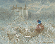 On Alert - Pheasants (phasianus colchicus) and Ekenäs Slott (Castle) Realistic Wildlife Painting by Akvile Lawrence
