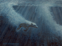 Polar Bear in Arctic Chase by Akvile Lawrence